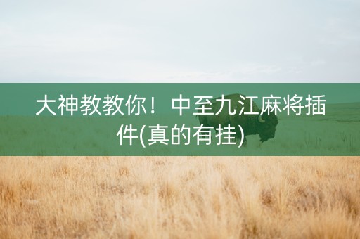 大神教教你！中至九江麻将插件(真的有挂)