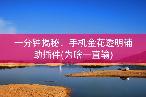 一分钟揭秘！手机金花透明辅助插件(为啥一直输)