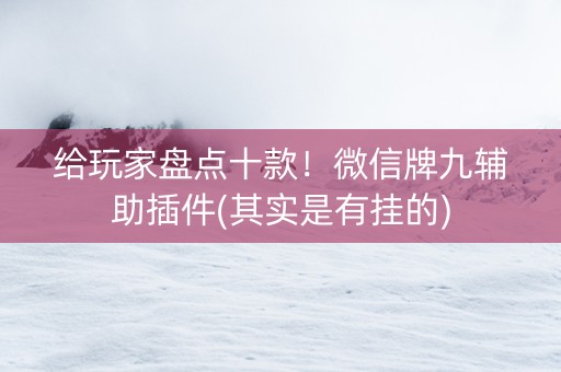给玩家盘点十款！微信牌九辅助插件(其实是有挂的)