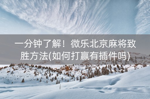一分钟了解！微乐北京麻将致胜方法(如何打赢有插件吗)