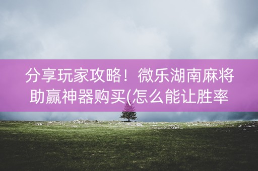分享玩家攻略！微乐湖南麻将助赢神器购买(怎么能让胜率高)