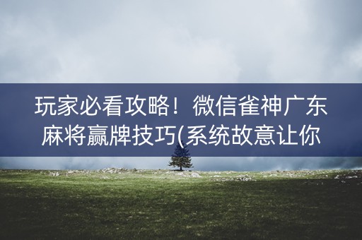 玩家必看攻略！微信雀神广东麻将赢牌技巧(系统故意让你输)