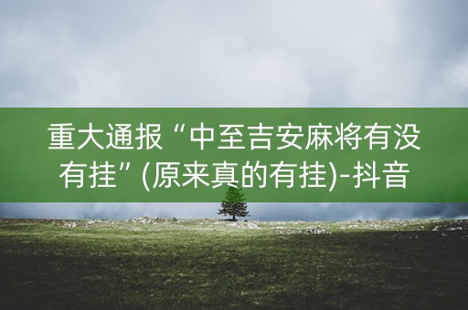 重大通报“中至吉安麻将有没有挂”(原来真的有挂)-抖音