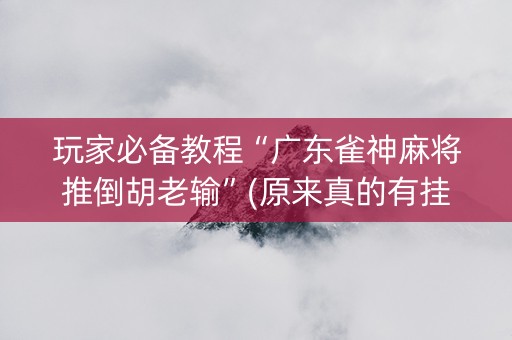 玩家必备教程“广东雀神麻将推倒胡老输”(原来真的有挂)-抖音
