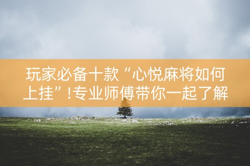 玩家必备十款“心悦麻将如何上挂”!专业师傅带你一起了解（详细教程）-抖音