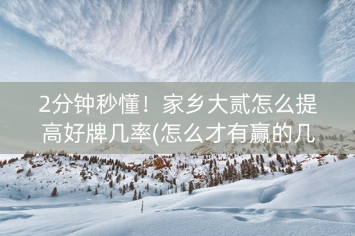 2分钟秒懂！家乡大贰怎么提高好牌几率(怎么才有赢的几率)