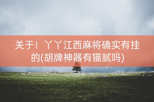 关于！丫丫江西麻将确实有挂的(胡牌神器有猫腻吗)
