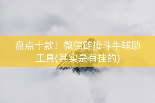盘点十款！微信链接斗牛辅助工具(其实是有挂的)