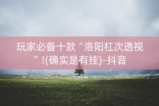 玩家必备十款“洛阳杠次透视”!(确实是有挂)-抖音