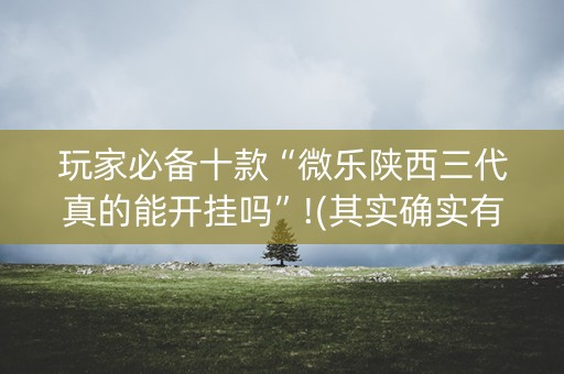 玩家必备十款“微乐陕西三代真的能开挂吗”!(其实确实有挂)-抖音