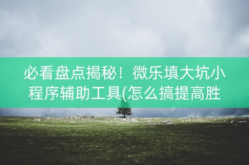 必看盘点揭秘！微乐填大坑小程序辅助工具(怎么搞提高胜率)
