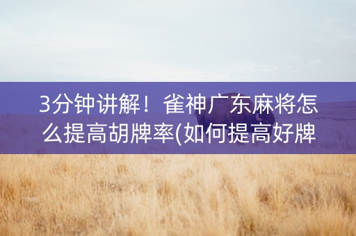 3分钟讲解！雀神广东麻将怎么提高胡牌率(如何提高好牌几率)