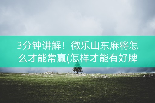 3分钟讲解！微乐山东麻将怎么才能常赢(怎样才能有好牌)