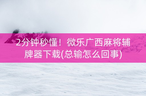 2分钟秒懂！微乐广西麻将辅牌器下载(总输怎么回事)
