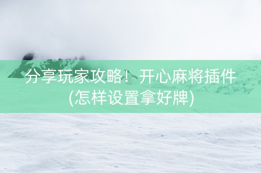 分享玩家攻略！开心麻将插件(怎样设置拿好牌)