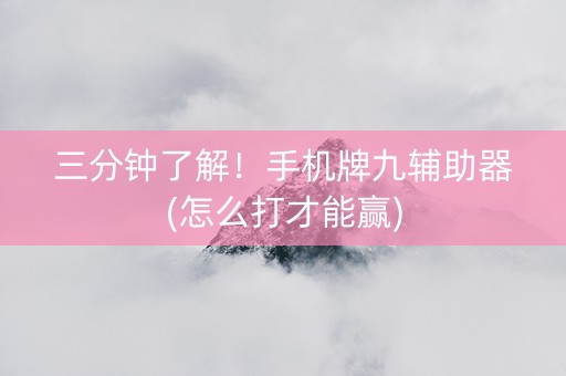 三分钟了解！手机牌九辅助器(怎么打才能赢)
