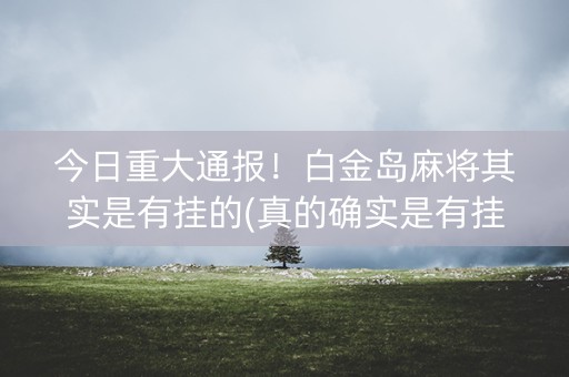 今日重大通报！白金岛麻将其实是有挂的(真的确实是有挂)