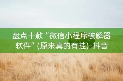 盘点十款“微信小程序破解器软件”(原来真的有挂)-抖音