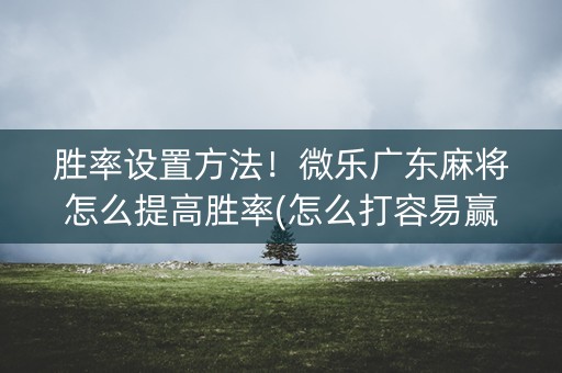 胜率设置方法！微乐广东麻将怎么提高胜率(怎么打容易赢)