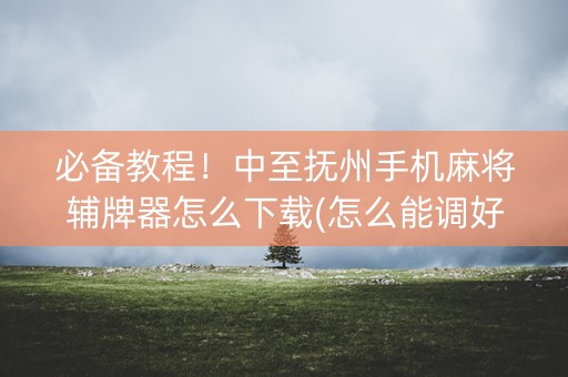 必备教程！中至抚州手机麻将辅牌器怎么下载(怎么能调好牌)