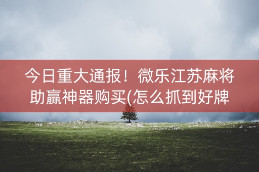 今日重大通报！微乐江苏麻将助赢神器购买(怎么抓到好牌)