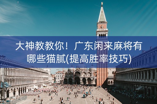 大神教教你！广东闲来麻将有哪些猫腻(提高胜率技巧)