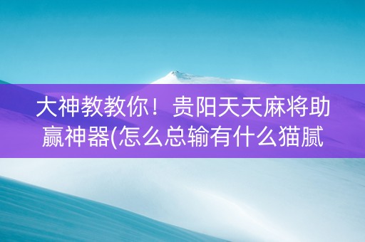 大神教教你！贵阳天天麻将助赢神器(怎么总输有什么猫腻)
