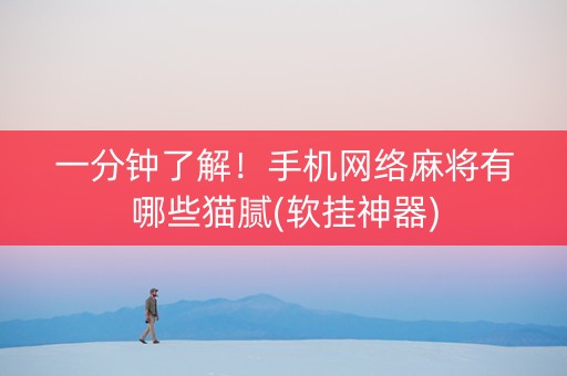 一分钟了解！手机网络麻将有哪些猫腻(软挂神器)