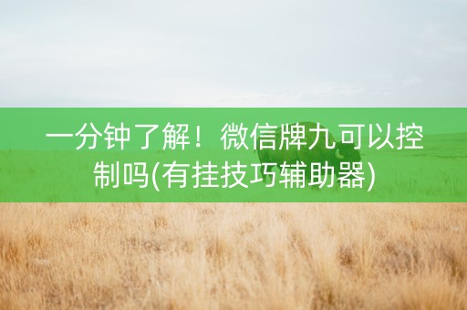 一分钟了解！微信牌九可以控制吗(有挂技巧辅助器)