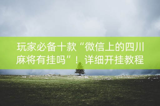 玩家必备十款“微信上的四川麻将有挂吗”！详细开挂教程（确实真的有挂)-抖音
