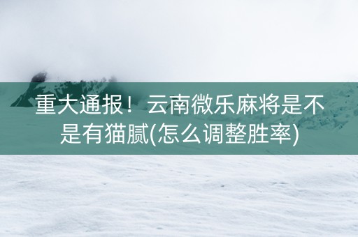 重大通报！云南微乐麻将是不是有猫腻(怎么调整胜率)
