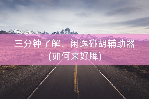 三分钟了解！闲逸碰胡辅助器(如何来好牌)