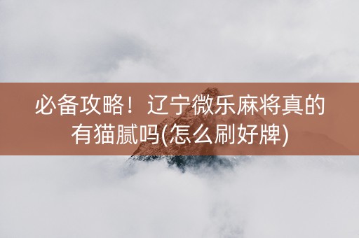 必备攻略！辽宁微乐麻将真的有猫腻吗(怎么刷好牌)