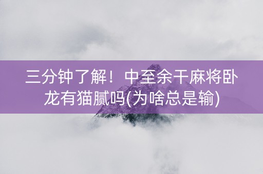 三分钟了解！中至余干麻将卧龙有猫腻吗(为啥总是输)