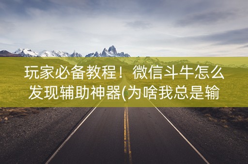 玩家必备教程！微信斗牛怎么发现辅助神器(为啥我总是输)