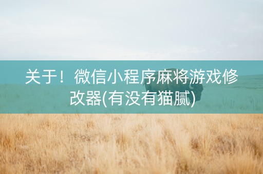 关于！微信小程序麻将游戏修改器(有没有猫腻)
