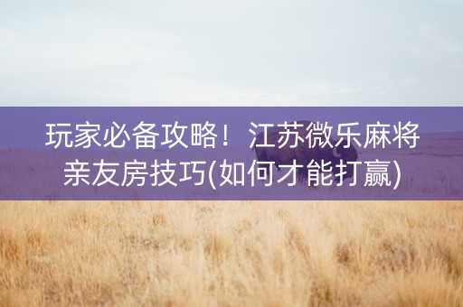 玩家必备攻略！江苏微乐麻将亲友房技巧(如何才能打赢)