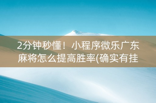 2分钟秒懂！小程序微乐广东麻将怎么提高胜率(确实有挂)