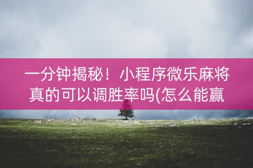 一分钟揭秘！小程序微乐麻将真的可以调胜率吗(怎么能赢发牌规律)