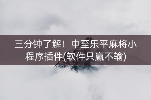 三分钟了解！中至乐平麻将小程序插件(软件只赢不输)