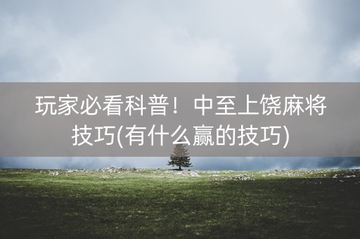 玩家必看科普！中至上饶麻将技巧(有什么赢的技巧)