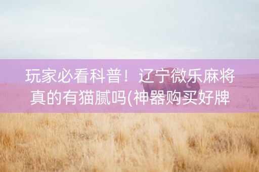 玩家必看科普！辽宁微乐麻将真的有猫腻吗(神器购买好牌规律)