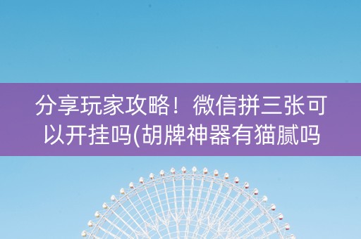 分享玩家攻略！微信拼三张可以开挂吗(胡牌神器有猫腻吗)