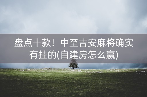盘点十款！中至吉安麻将确实有挂的(自建房怎么赢)