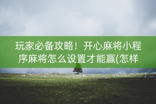 玩家必备攻略！开心麻将小程序麻将怎么设置才能赢(怎样才能赢)