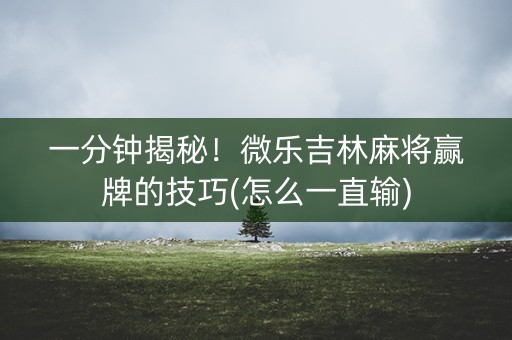 一分钟揭秘！微乐吉林麻将赢牌的技巧(怎么一直输)