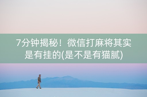 7分钟揭秘！微信打麻将其实是有挂的(是不是有猫腻)