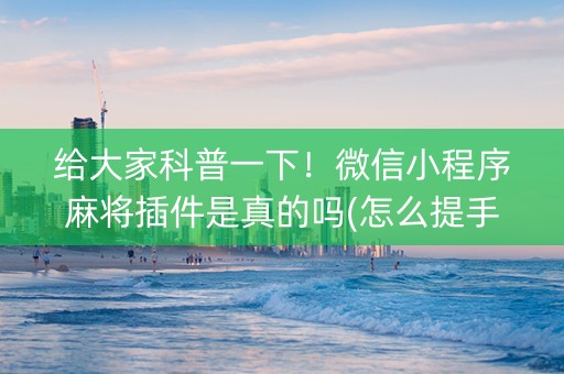 给大家科普一下！微信小程序麻将插件是真的吗(怎么提手拿好牌)