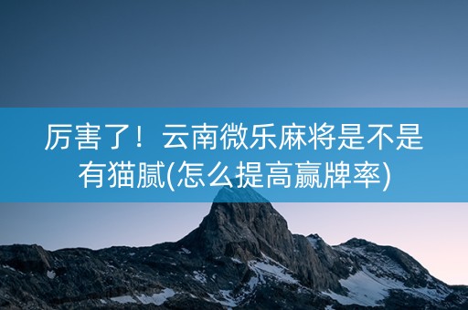厉害了！云南微乐麻将是不是有猫腻(怎么提高赢牌率)