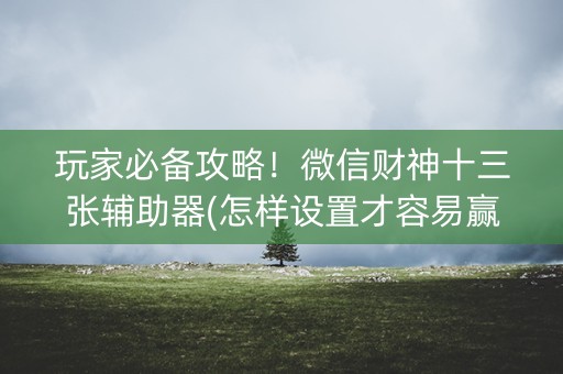 玩家必备攻略！微信财神十三张辅助器(怎样设置才容易赢)